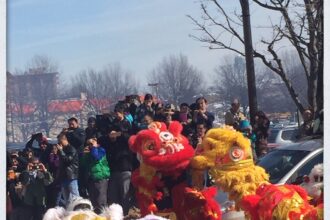 A lion dance festival