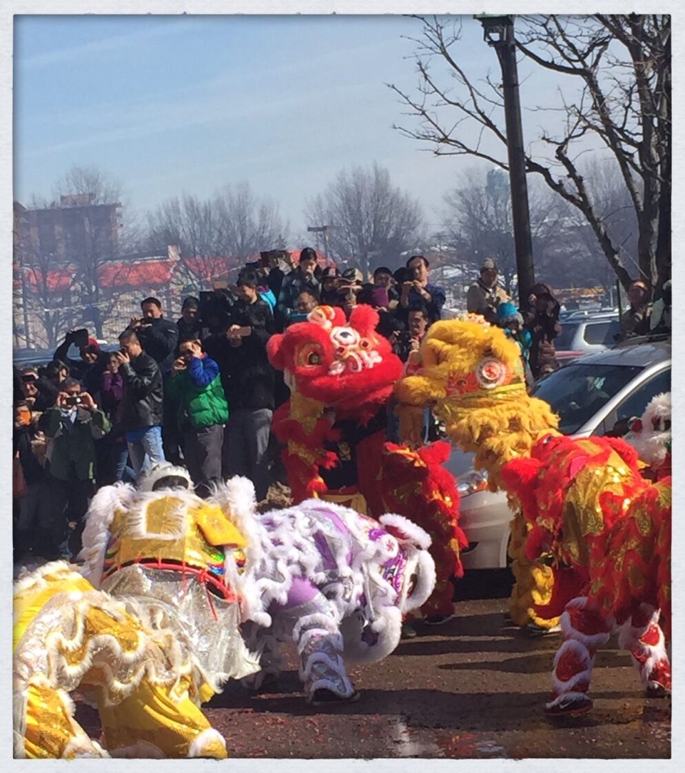 A lion dance festival