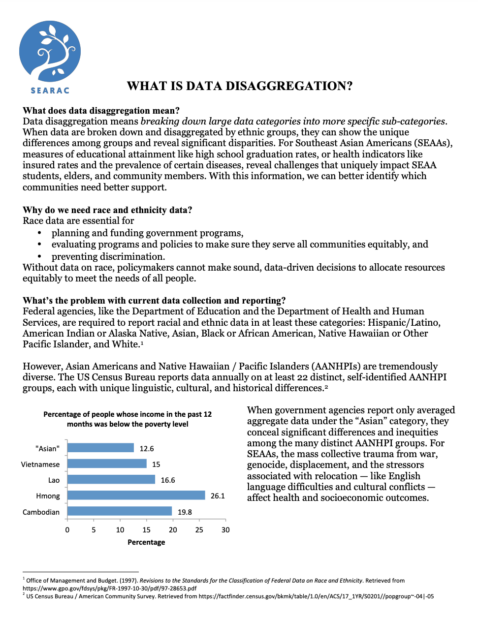 A screenshot of a factsheet on data disagregation