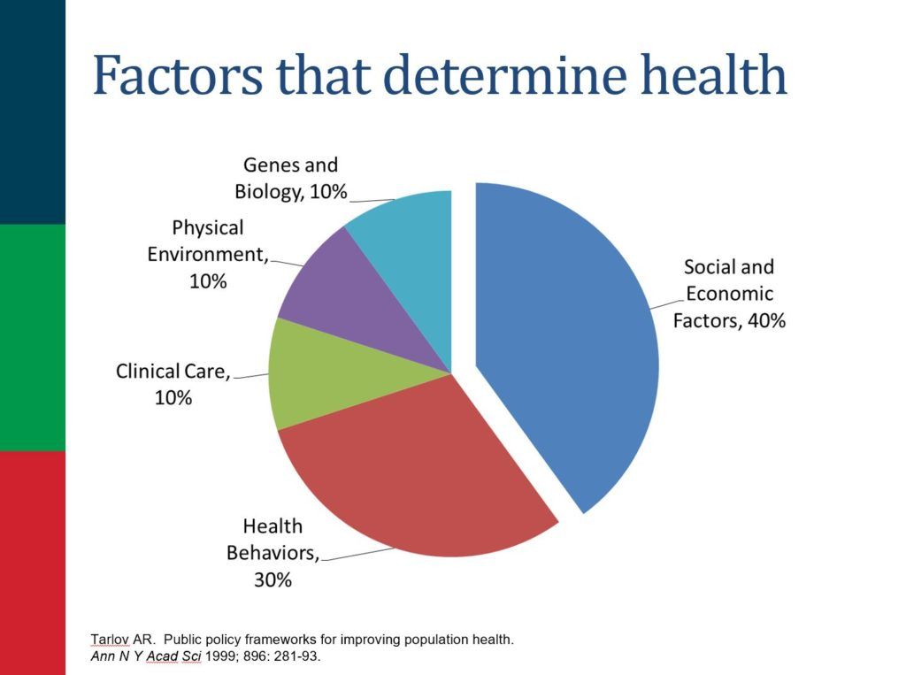 A chart on the factors that determine health