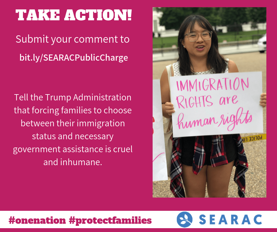 A pink background with the text "Take Action, submit your comment" on the left side and someone holding a sign that says "immigration rights are human rights" on the left side